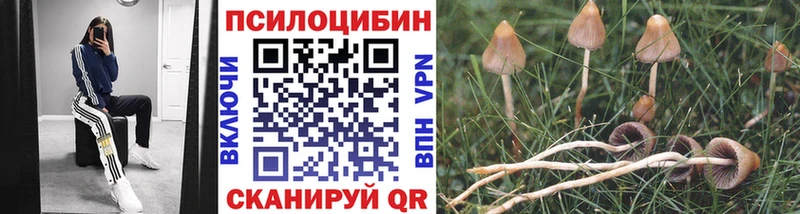 Галлюциногенные грибы ЛСД  Невьянск 